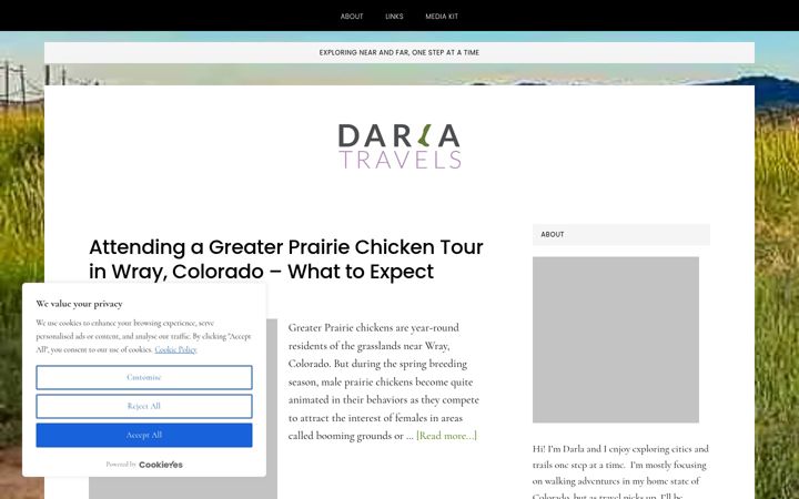 Screenshot of darlatravels.com