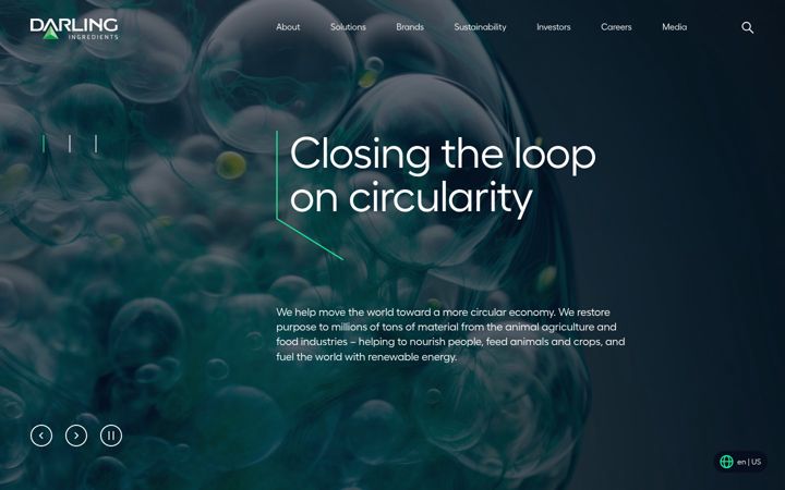 Screenshot of darlingii.com