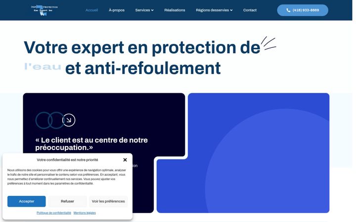Screenshot of darprotectioneauexpert.com