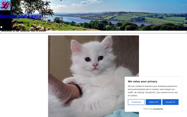 Screenshot of darwin-laura.com