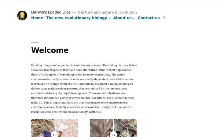Screenshot of darwinsloadeddice.net