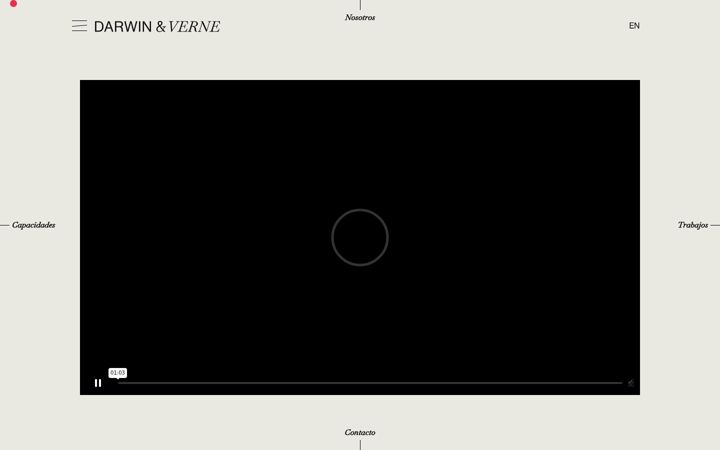 Screenshot of darwinsocialnoise.com
