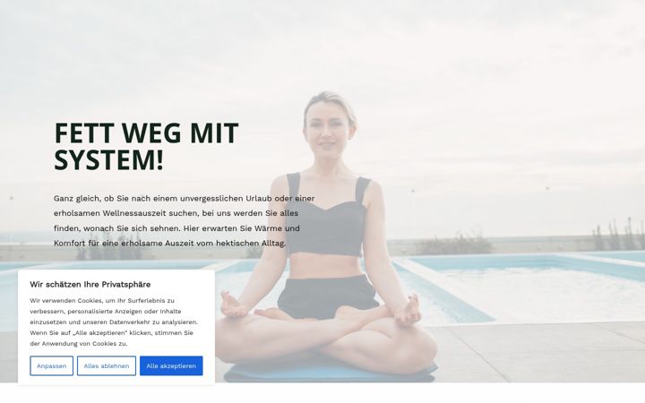 Screenshot of das-fett-weg-system.de