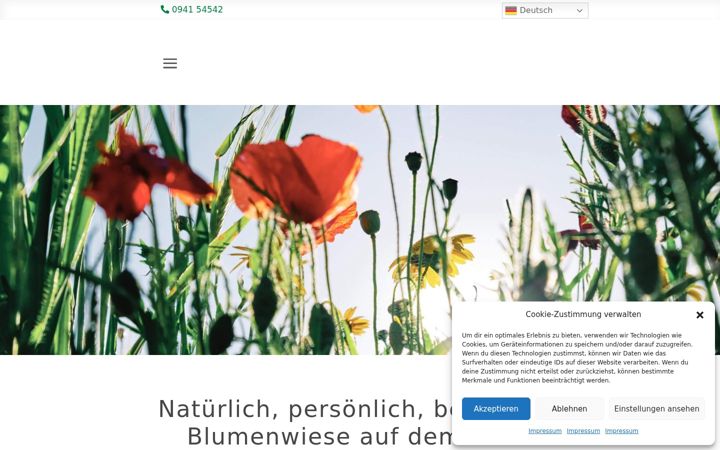 Screenshot of das-regensburg.de