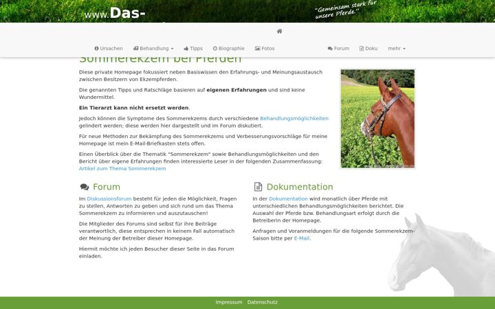 Screenshot of das-sommerekzem.de
