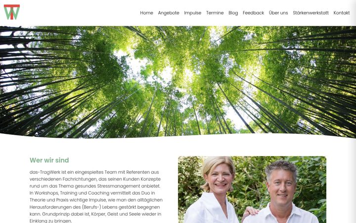 Screenshot of das-tragwerk.com