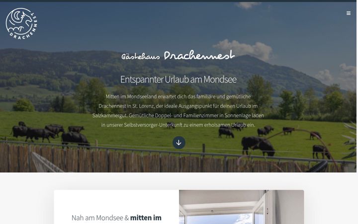 Screenshot of dasdrachennest.at