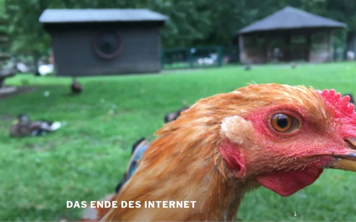 Screenshot of dasendedesinternet.de