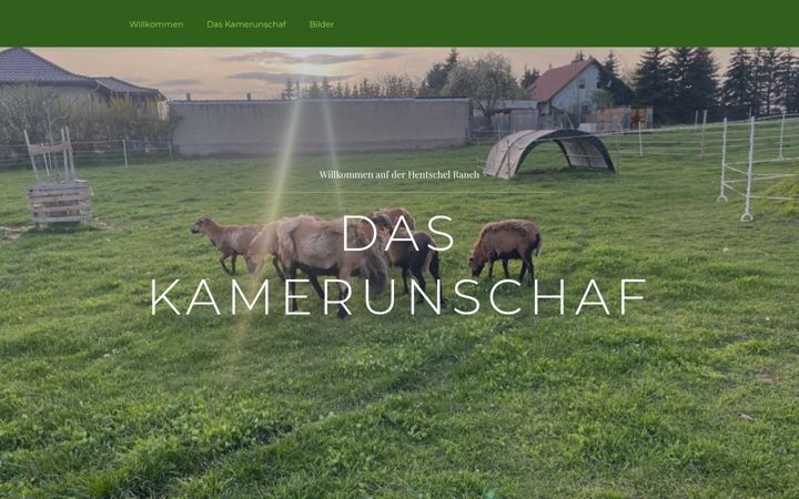 Screenshot of daskamerunschaf.de