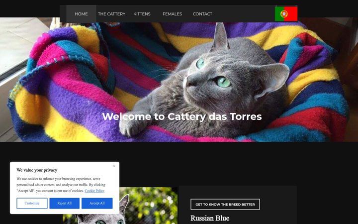 Screenshot of dastorrescattery.com