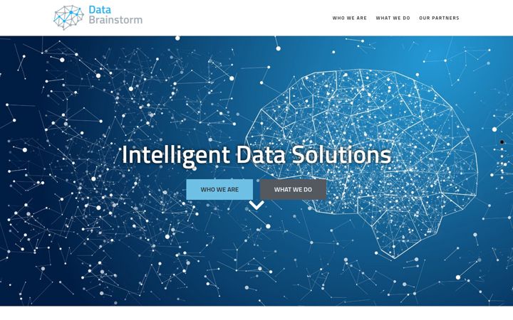 Screenshot of data-brainstorm.com