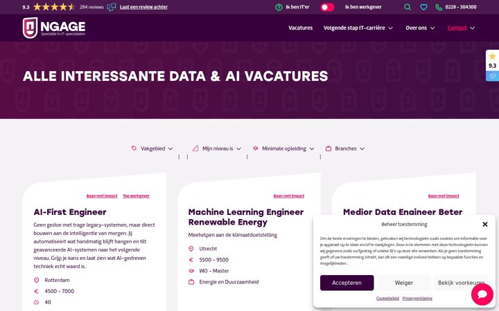 Ekrano kopija data-professionals.nl