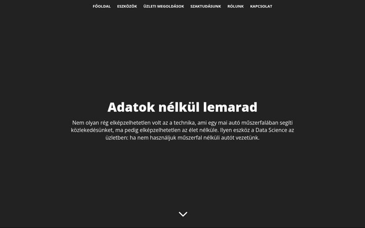 Zrzut ekranu data-scientist.hu