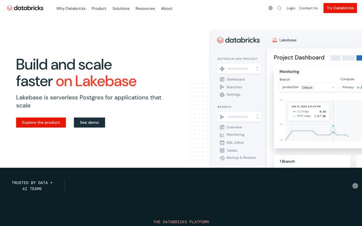 Captura de pantalla de databricks.com