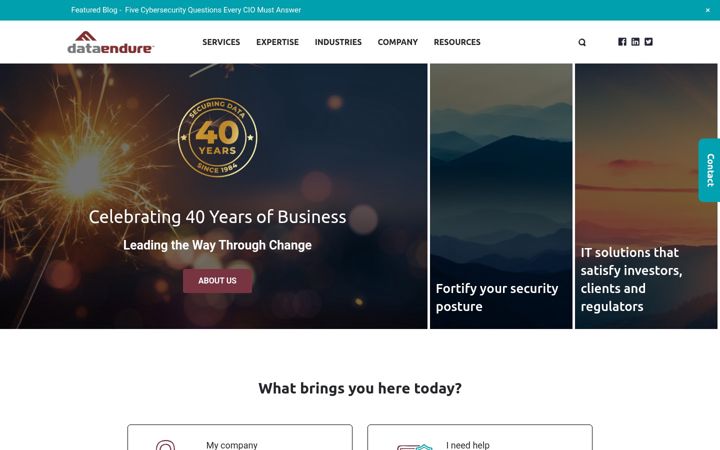 Screenshot of dataendure.com