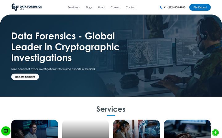Screenshot of dataforensic.net