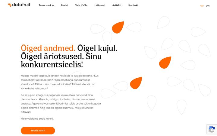Ekrano kopija datafruit.ee