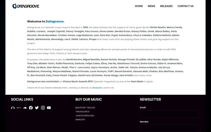 Screenshot of datagrooverecords.com