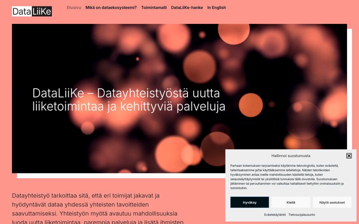 Screenshot di dataliike.fi