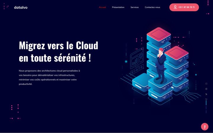 Екранна снимка на datalvo.io