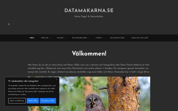 Snimka zaslona za datamakarna.se