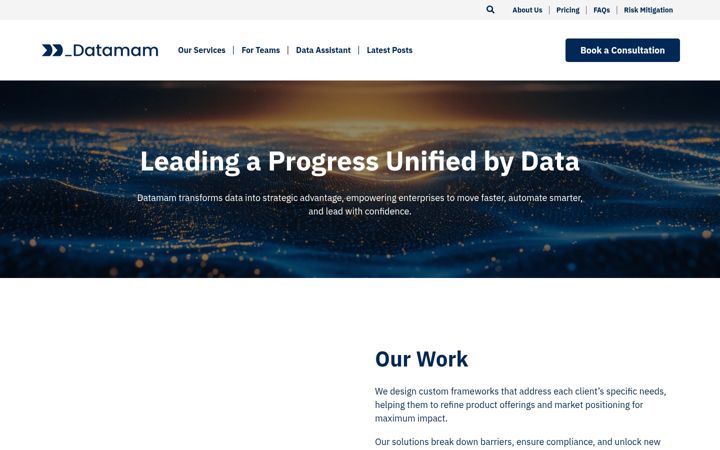 Screenshot of datamam.com