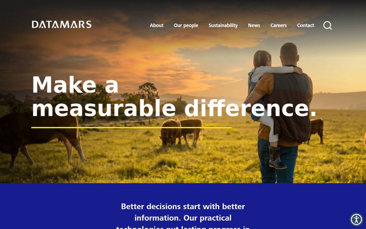 Screenshot of datamars.com