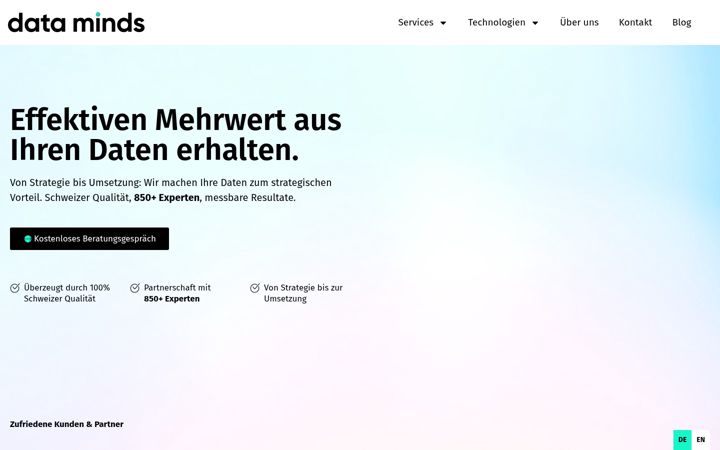 Screenshot of dataminds.ch