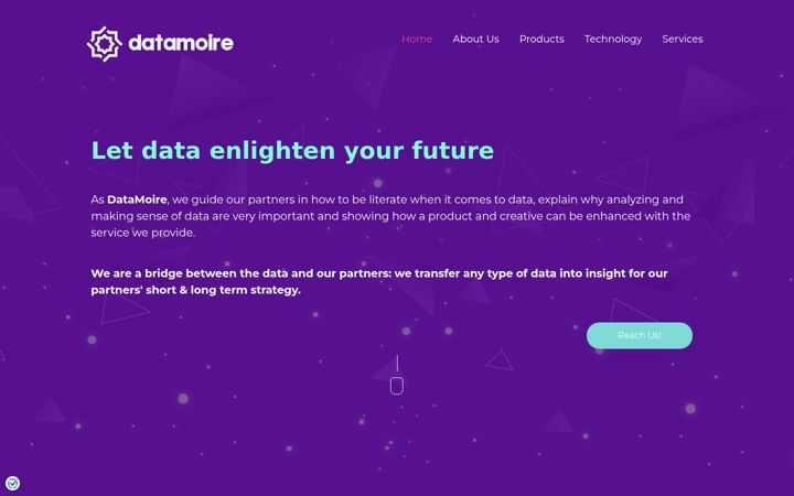 Screenshot of datamoire.com
