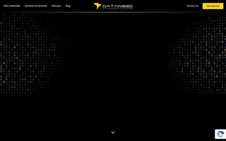 Screenshot of datanised.com