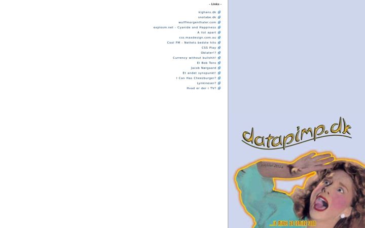 Screenshot of datapimp.dk