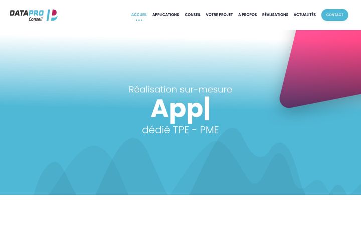 Zrzut ekranu datapro-conseil.fr