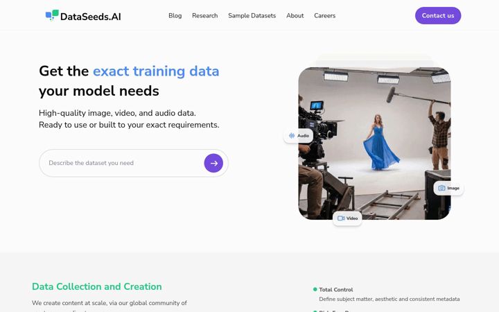 Zrzut ekranu dataseeds.ai