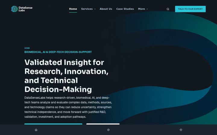 Screenshot of datasense-consulting.com