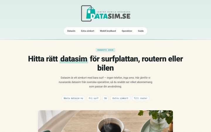 Screenshot von datasim.se