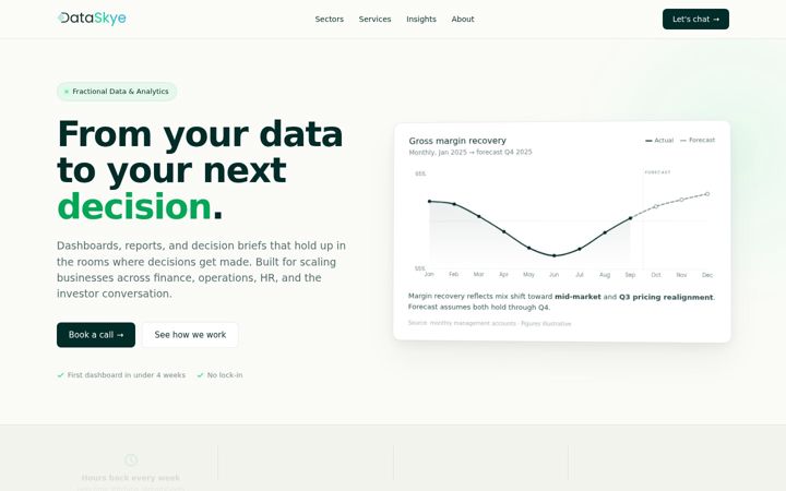 Screenshot of dataskye.com