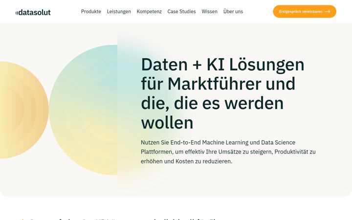 Screenshot of datasolut.com