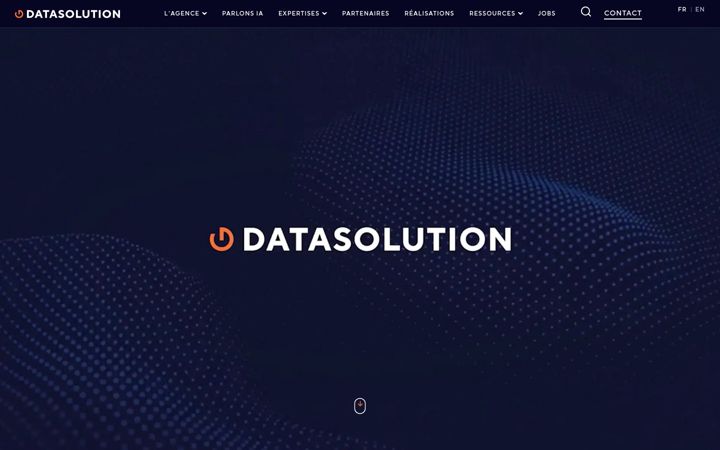 Zrzut ekranu datasolution.fr