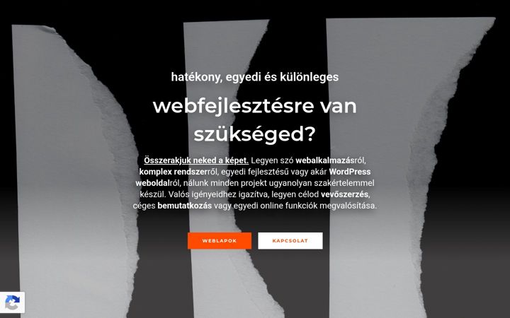 Zrzut ekranu datasolve.hu
