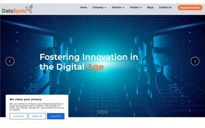 Screenshot of dataspatz.com