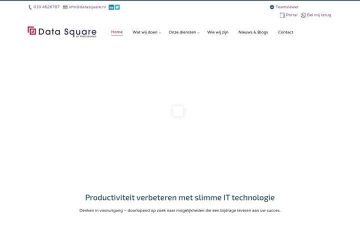 Ekrano kopija datasquare.nl