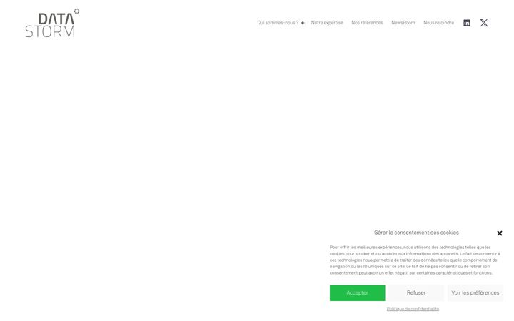 Zrzut ekranu datastorm.fr
