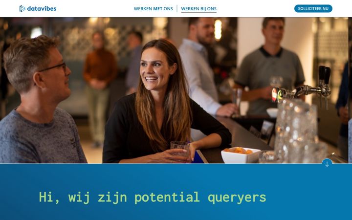 Ekrano kopija datavibes.nl
