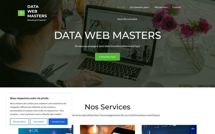 Screenshot of datawebmasters.com