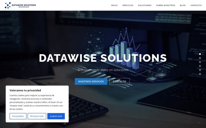 Zrzut ekranu datawise-solutions.eu