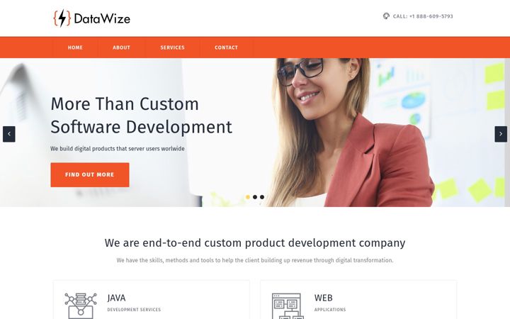 Screenshot of datawize.com