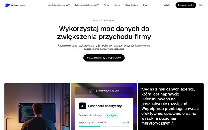 Screenshot of datawolves.pl