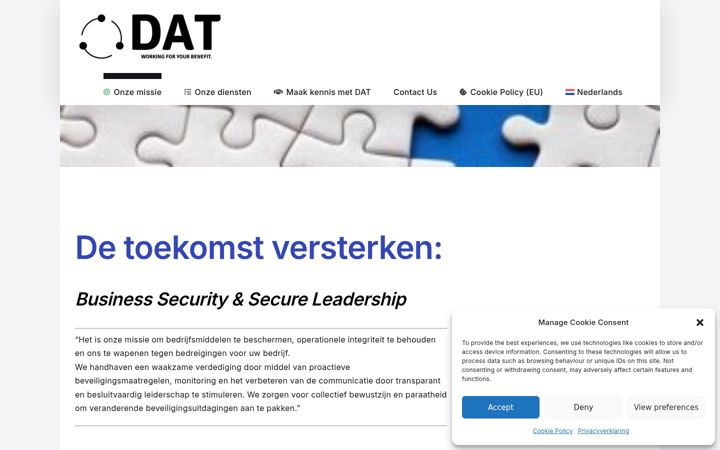 Zrzut ekranu datconsultancy.eu