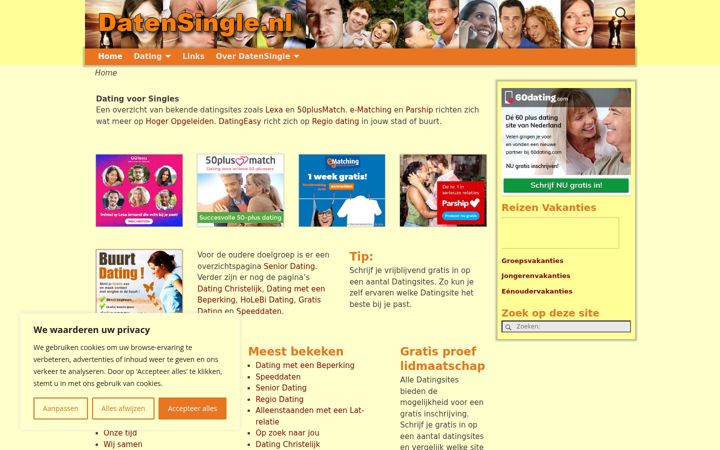 Snímek obrazovky datensingle.nl