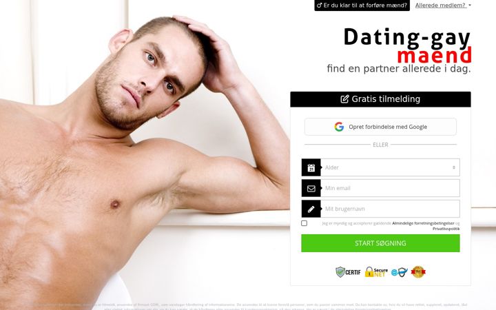 Screenshot of dating-gay-maend.com